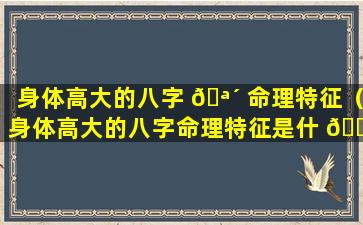 身体高大的八字 🪴 命理特征（身体高大的八字命理特征是什 💐 么）